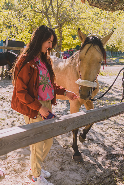 Cheval dans le Vaucluse