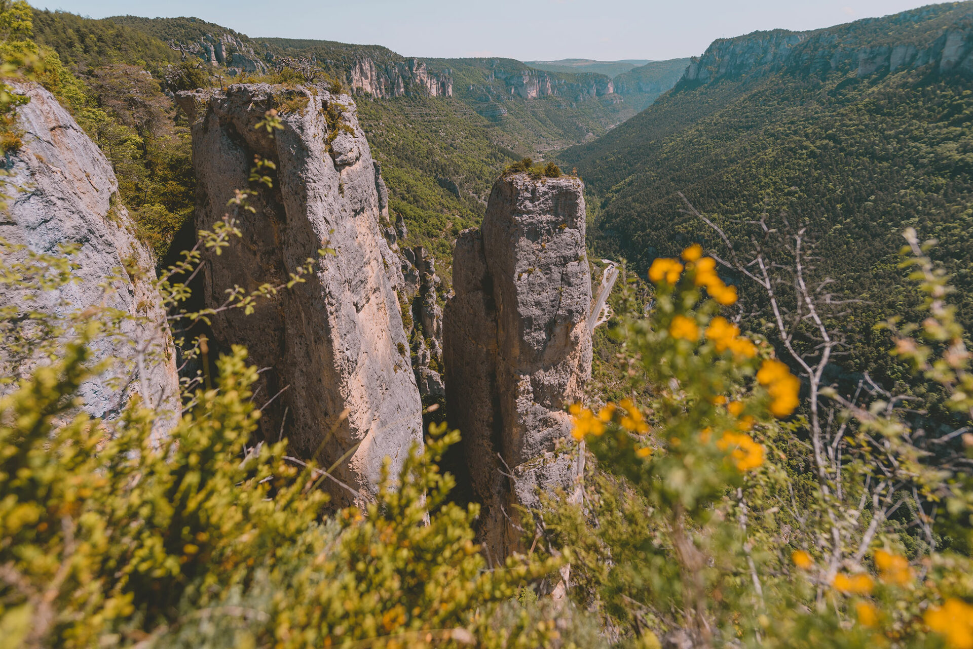 Point de vue sur la vallée de la Jonte
