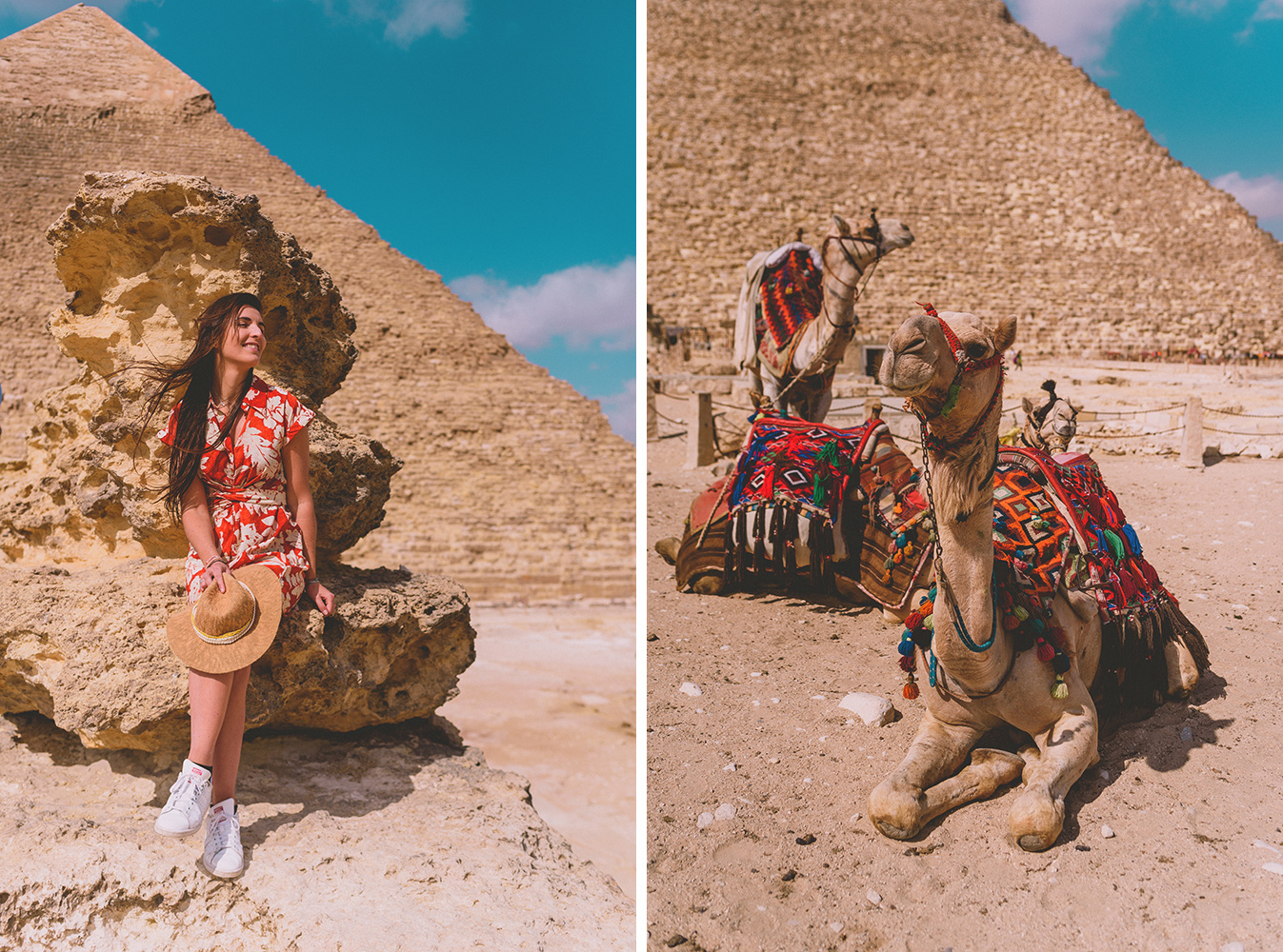 Gizeh pyramides et dromadaires