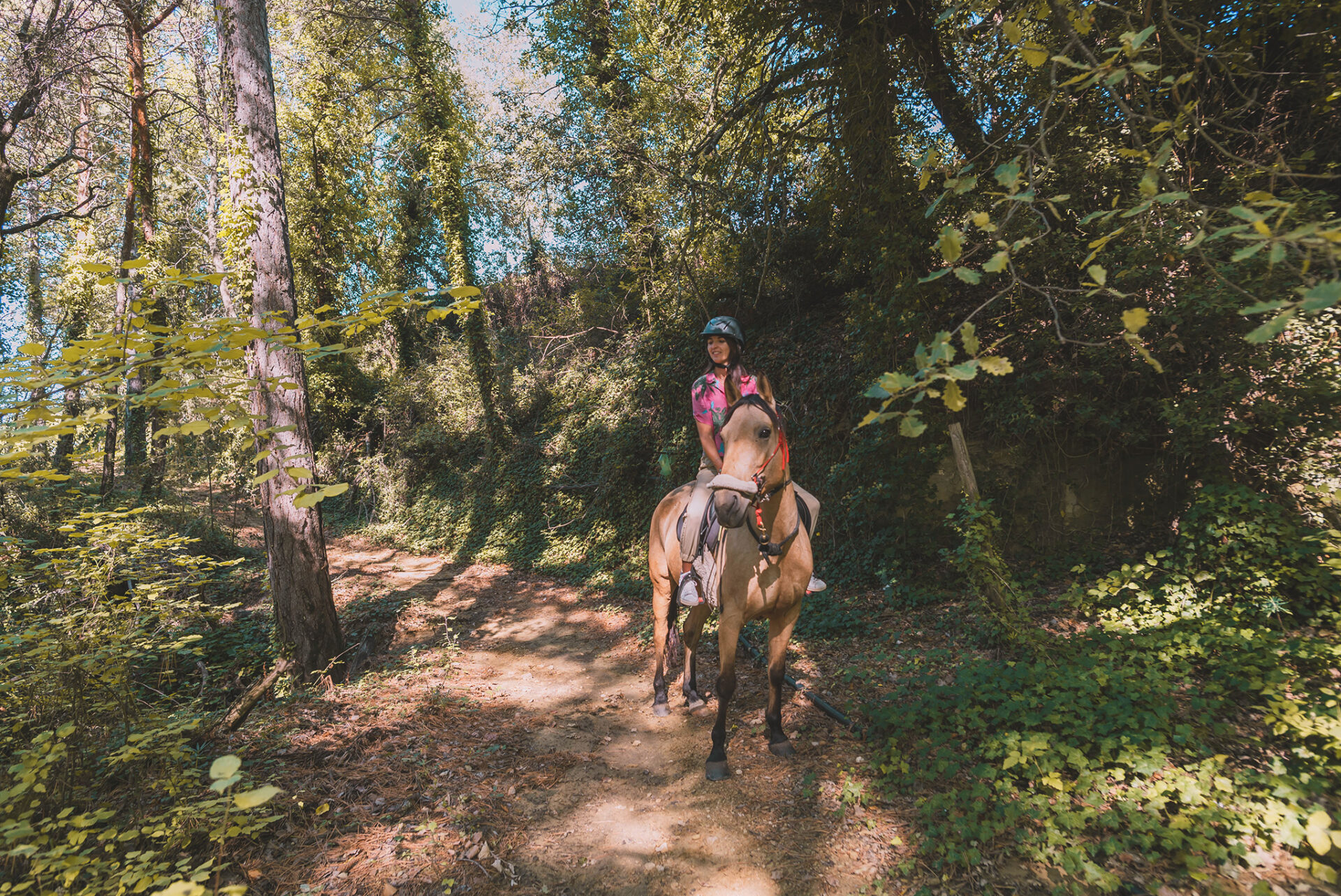 Balade à cheval dans le Vaucluse