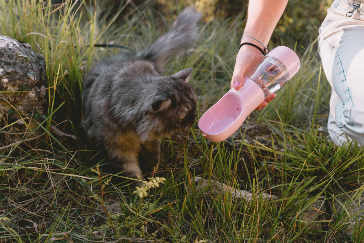Distributeur nourriture et boisson chat pour randonner