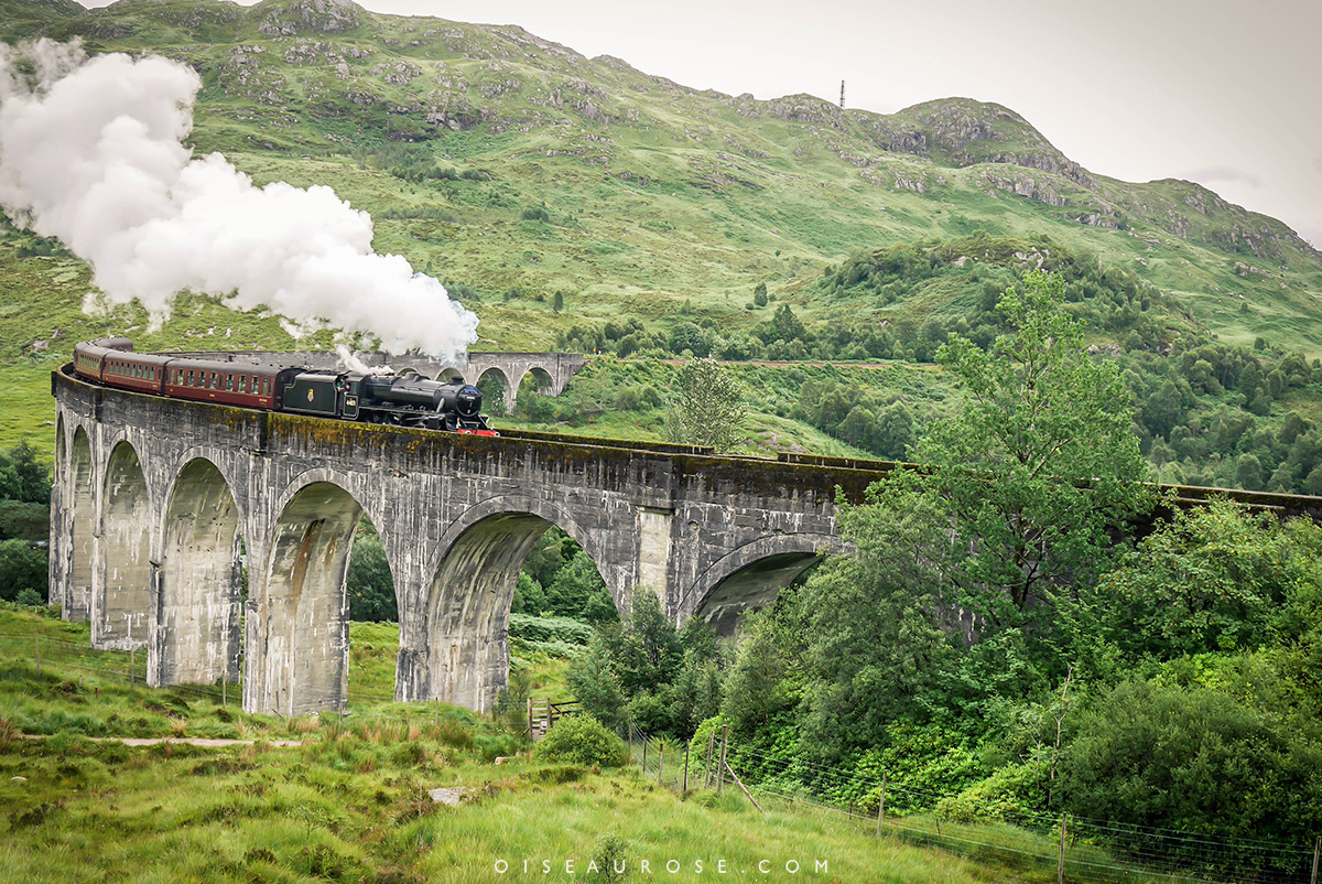 Le train d'Harry Potter en Ecosse